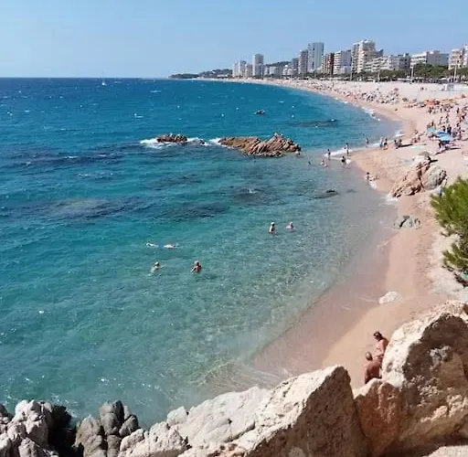 Vacacional Piscis Daire