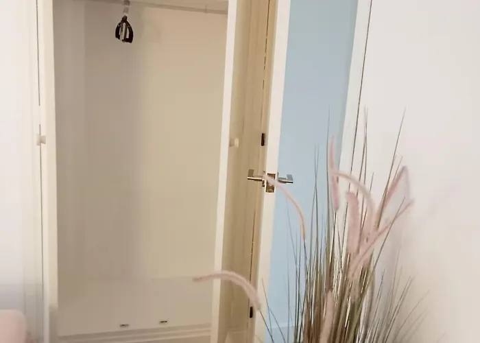 Vacacional Piscis Daire Platja d'Aro