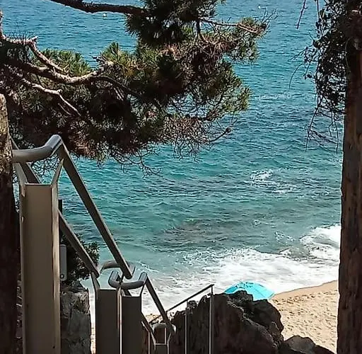 Vacacional Piscis Daire